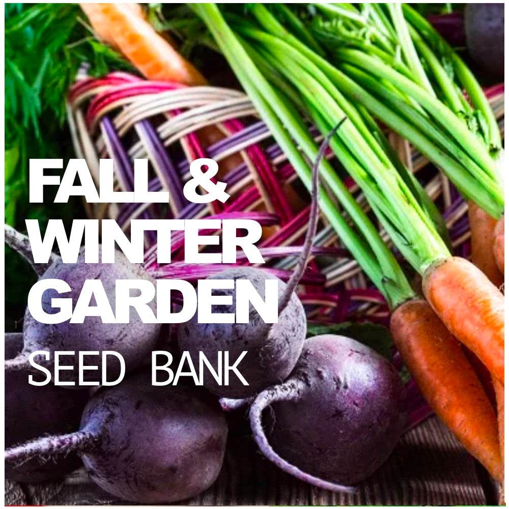 Fall and winter seed bank assortment with 20 hardy cold-weather vegetable seed varieties in labeled resealable bags