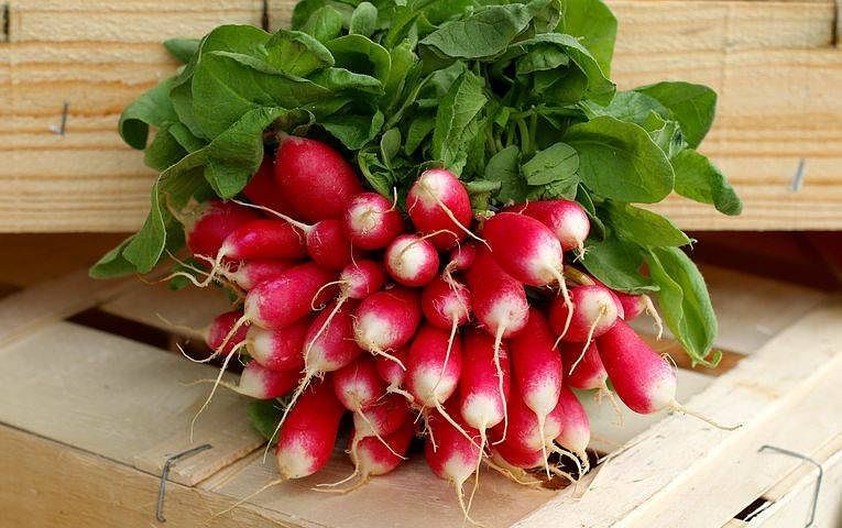 Radish Sparkler seeds from SeedsNow, close-up of colorful radish seed packet with vibrant seed illustrations.