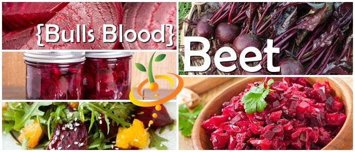 Beet Bulls Blood seeds collage showing fresh beets, leaves, pickled beets, and beet salad