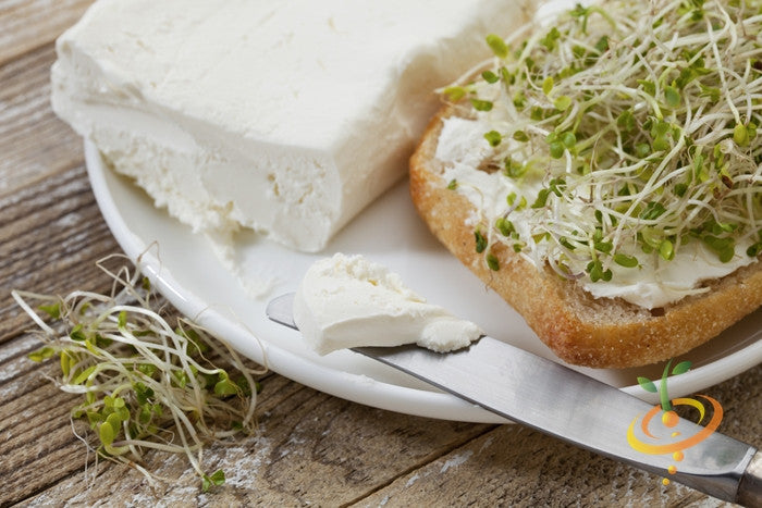 Broccoli sprouts microgreens on bread with cream cheese and block of cheese on plate