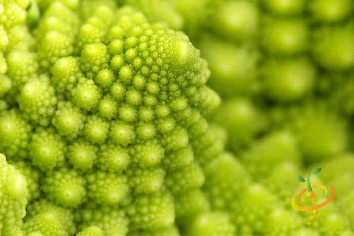 Romanesco broccoli seeds from SeedsNow, close-up of vibrant green Romanesco broccoli florets and seed packet.