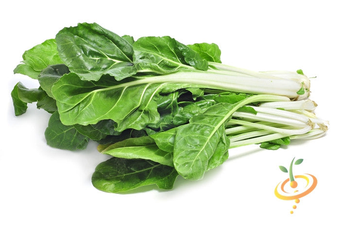 Swiss Chard Fordhook Giant Seeds | Tender Green Leaves, Fast Growing