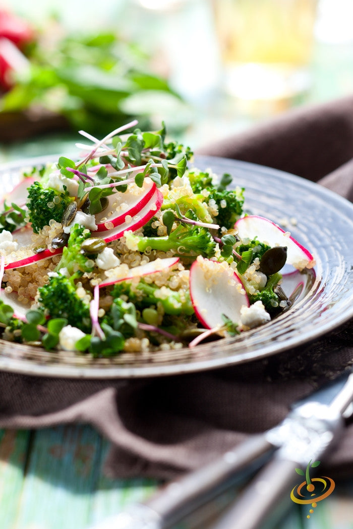 Fresh broccoli sprouts microgreens salad with radish and quinoa on plate