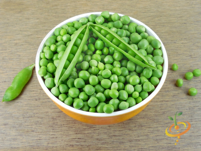 Bowl of fresh green peas with open pea pods on wooden surface, Little Marvel seeds