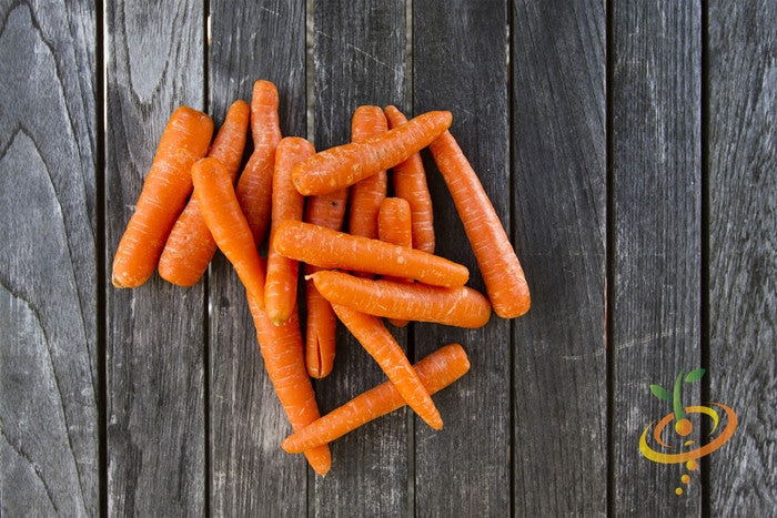 Fresh Kuroda carrot seeds from SeedsNow, 8-inch long root variety, shown in the image.