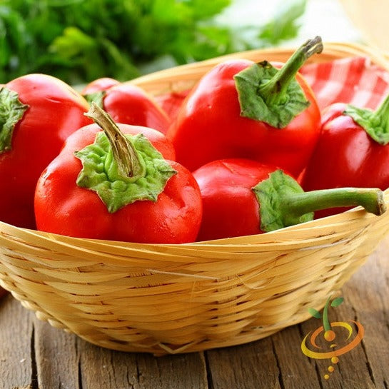Basket of bright red sweet pimento peppers with green stems on wooden surface