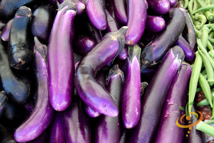 Long purple Italian eggplant (aubergine) seed packet from SeedsNow showing vibrant eggplant images on the label.