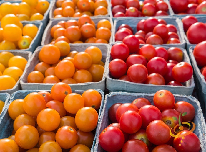 Red cherry tomato seeds from SeedsNow, small indeterminate variety, with lush tomato plants and ripe cherry tomatoes visible in the image.