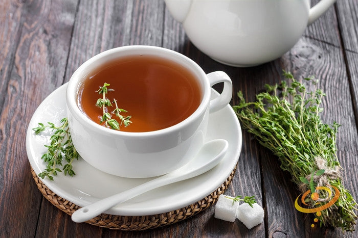 Cup of thyme tea with fresh thyme herb and sugar cubes on wooden table