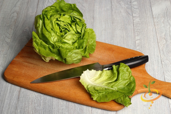 White Boston Butterhead lettuce seeds from SeedsNow, showing small green seeds ideal for planting in gardens or containers.