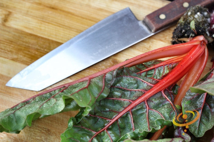 Ruby Red Swiss Chard seeds from SeedsNow, showing vibrant red stems and green leaves on a garden background.
