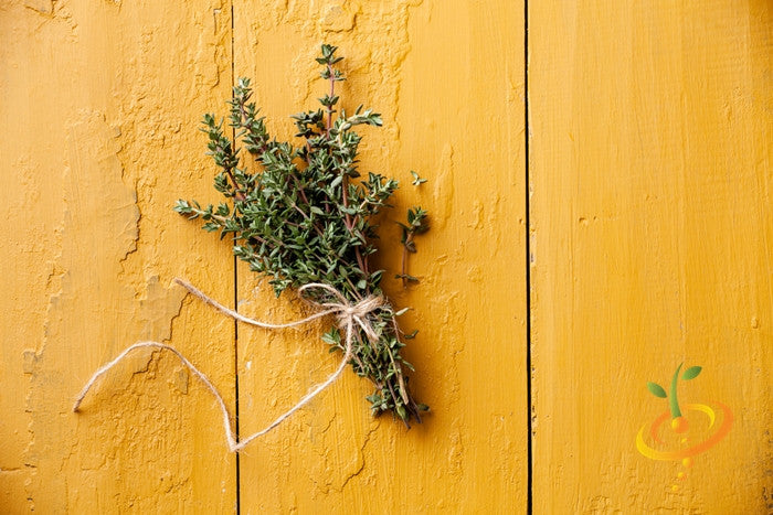 Fresh thyme herb bundle tied with twine on rustic yellow wooden background