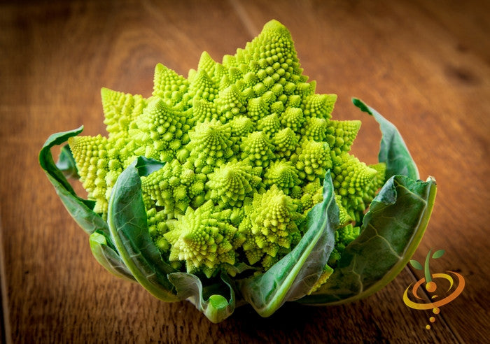 Romanesco broccoli seeds from SeedsNow, close-up of vibrant green, fractal-patterned Romanesco broccoli plant.