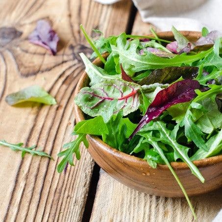 Gourmet mesclun mix lettuce seeds from SeedsNow, small packets of mixed lettuce seeds for home gardening or planting.