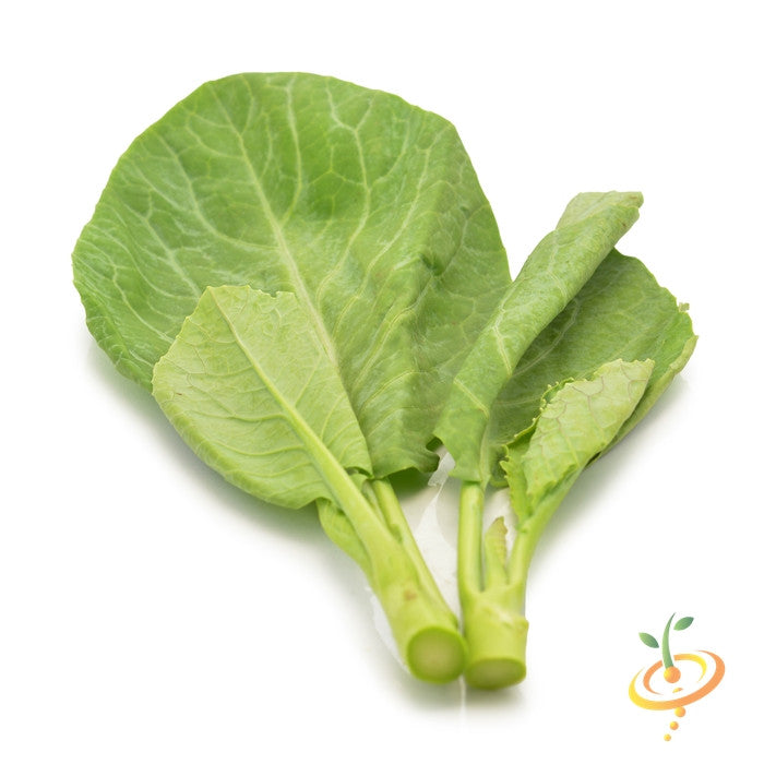 Fresh green Kale Premier seeds leaves isolated on white background