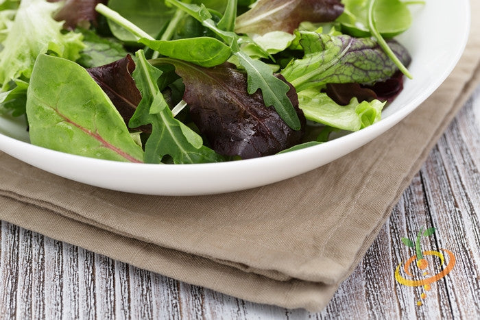 Gourmet mesclun mix lettuce seeds from SeedsNow, small packet showing colorful lettuce seed varieties for planting.