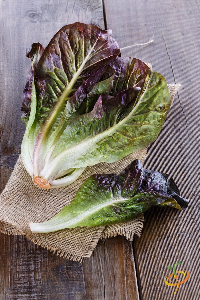 Romaine lettuce leaves with red tips on burlap and wooden surface