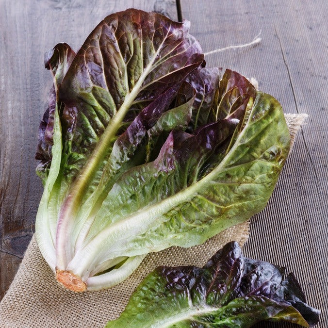 Fresh romaine lettuce leaves with red tips on burlap and wooden surface