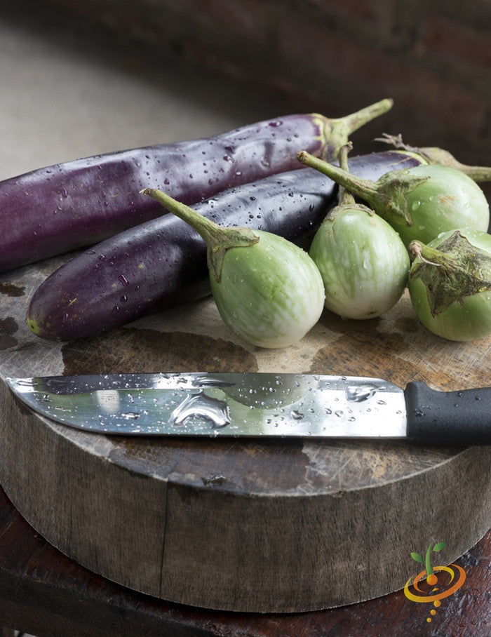 Long purple Italian eggplant (aubergine) seed packet from SeedsNow, showing fresh seed images on the package.