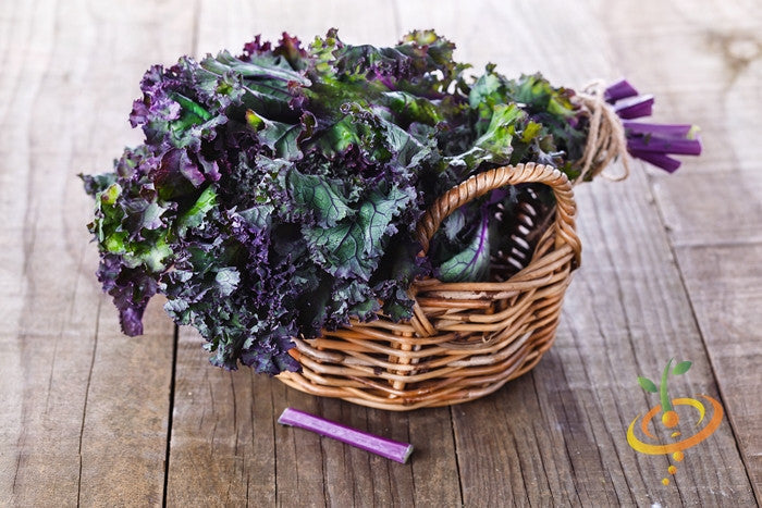 Fresh Red Russian kale with purple stems in a wicker basket on wooden surface