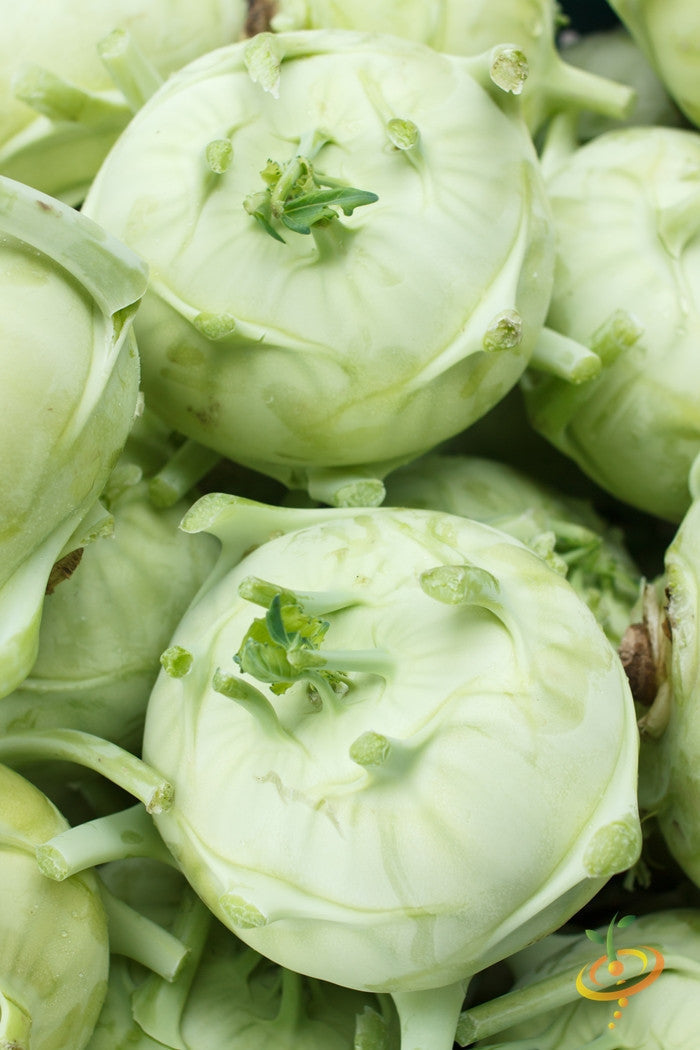 Close-up of fresh Kohlrabi Delicatesse with tender round bulbs and pale green skin