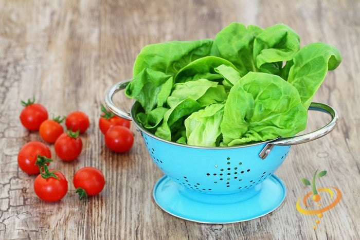 Fresh green Tom Thumb lettuce leaves in a blue colander with cherry tomatoes on wooden surface