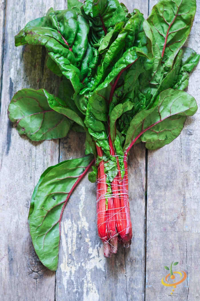 Hot pink Swiss chard seeds from SeedsNow, showing vibrant seed packets for growing colorful leafy greens.