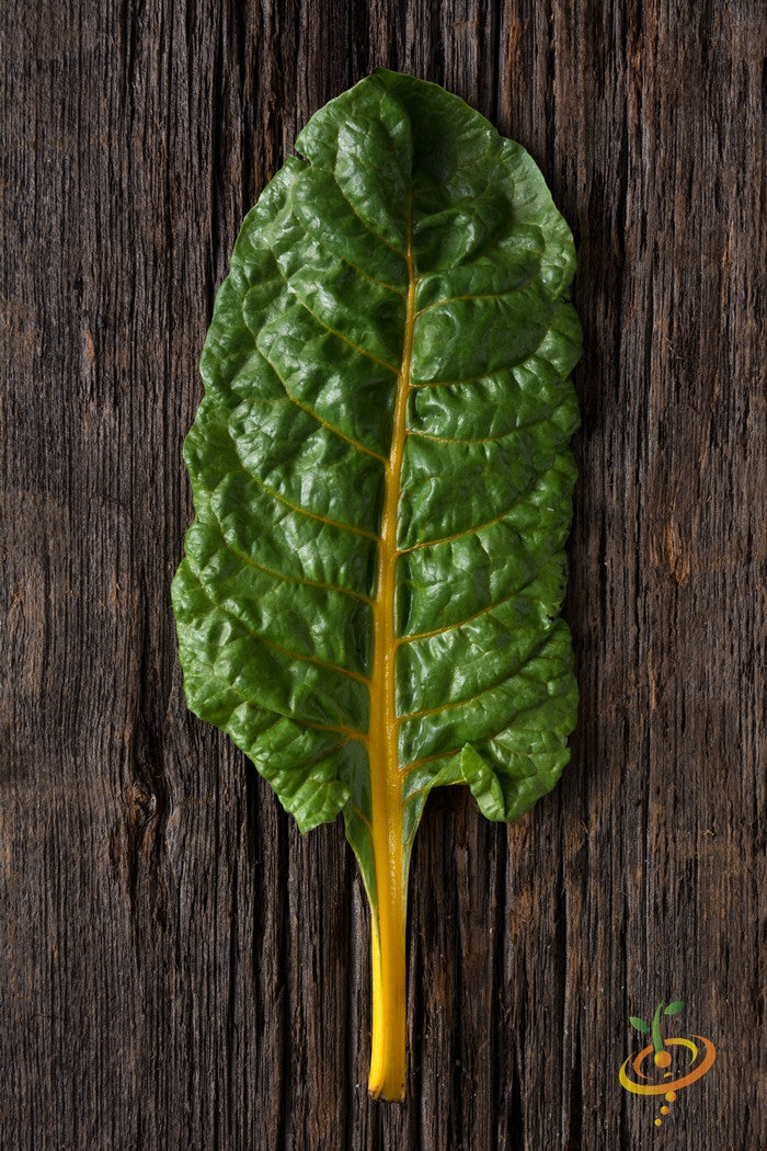 Fresh Swiss chard leaves with orange seeds from SeedsNow, ready for planting in a garden or container.