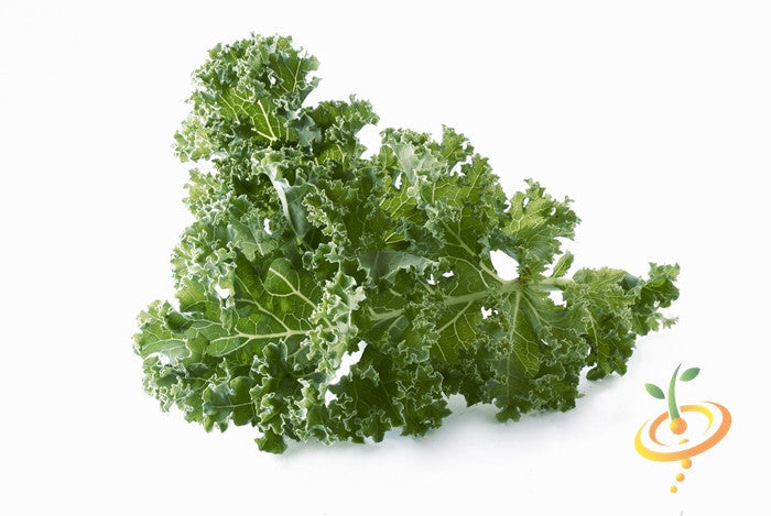 Fresh green Vates kale leaves from SeedsNow, showing vibrant, healthy kale plant with lush foliage.