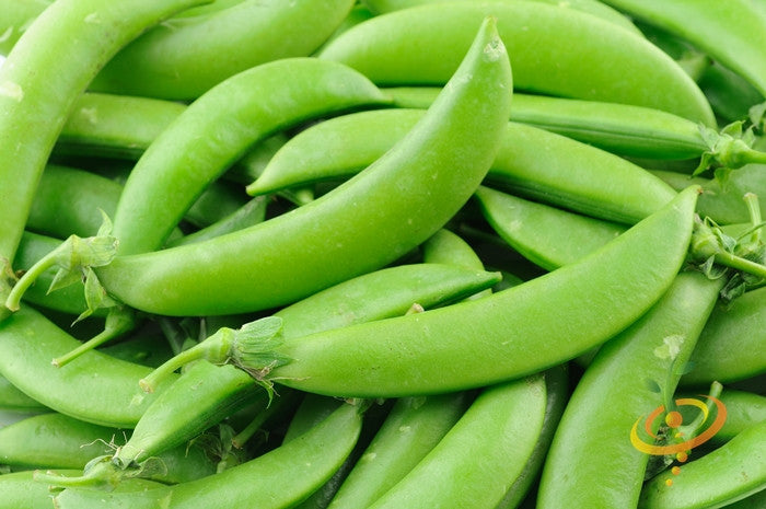 Close-up of fresh green sugar snap pea pods piled together
