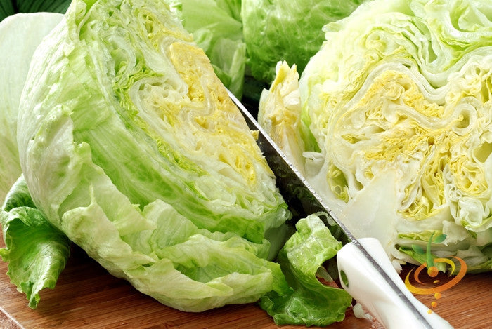 Close-up of fresh iceberg lettuce leaves growing from SeedsNow iceberg lettuce seeds.