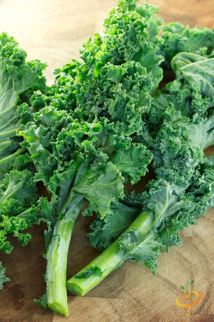 Fresh Blue Curled Scotch kale leaves with curly blue-green edges on wooden surface