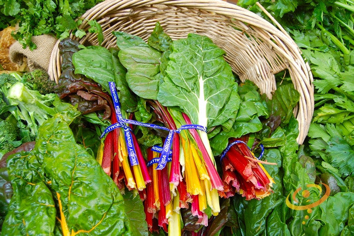 Fresh bundles of colorful Yellow Canary Swiss Chard leaves with vibrant yellow, red, and green stems in a wicker basket