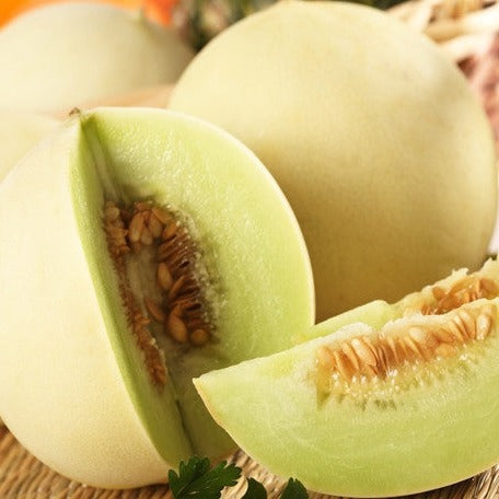 Melon Honeydew with green flesh showing seeds inside and whole melons in background
