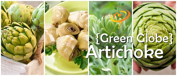 Green Globe artichoke seeds from SeedsNow, showing fresh seed packets for growing artichoke plants.