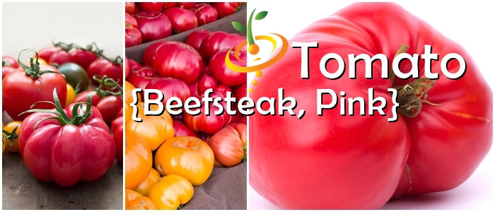 Pink Beefsteak indeterminate tomato seeds from SeedsNow, showing vibrant, ripe beefsteak tomatoes on the plant.
