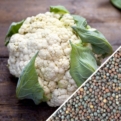 Large white cauliflower head with green leaves and mixed cauliflower seeds for all year round planting