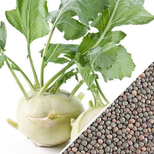 Kohlrabi Delicatesse white bulbs with green leaves and close-up of seeds