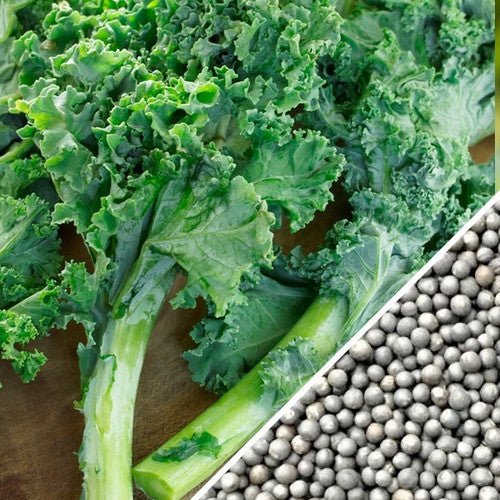 Close-up of Blue Curled Scotch kale leaves and seeds on a wooden surface