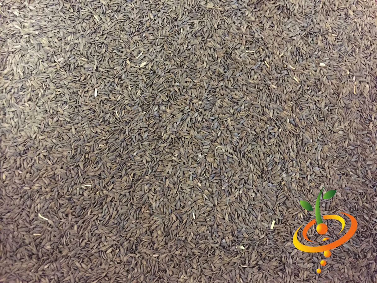 Black Seeded Simpson lettuce seeds from SeedsNow, close-up of green seed packets with detailed seed images.