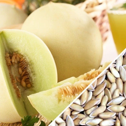 Honeydew melon with green flesh and seeds close-up