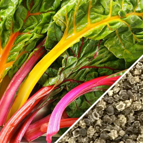 Rainbow mix Swiss chard seeds from SeedsNow, featuring vibrant colorful leaves for garden planting and fresh harvest.