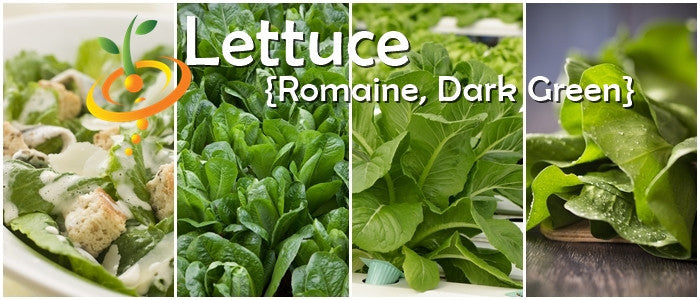 Close-up images of dark green Romaine lettuce leaves and a Caesar salad featuring Romaine lettuce