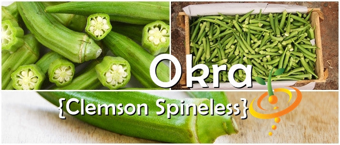 Close-up of fresh Clemson Spineless okra pods with whole and cut views, showcasing green okra in a wooden crate and individual pods.