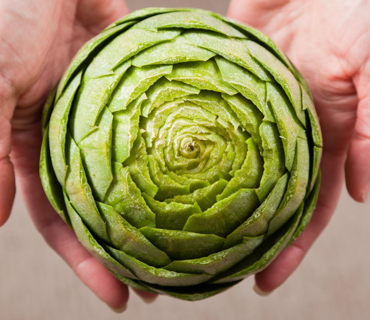 Green Globe artichoke seeds from SeedsNow, showcasing fresh seed packets for planting artichokes.