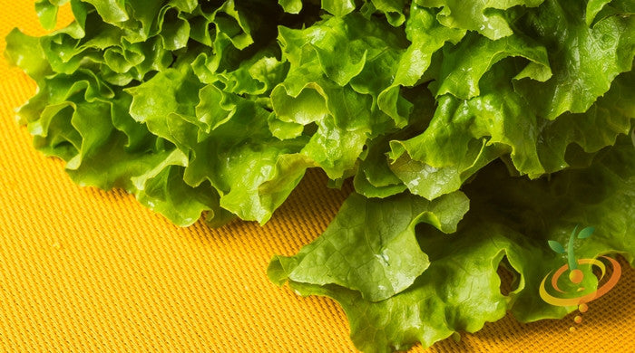 Green Ice lettuce seeds from SeedsNow, showing fresh green lettuce leaves and seed packet for gardening.