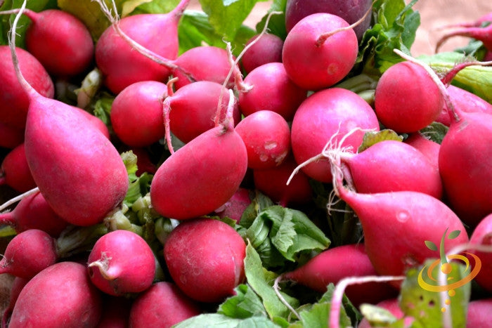 Pink radish seeds from SeedsNow, ready to plant, showing vibrant pink seeds and fresh radish roots for gardening or culinary use.