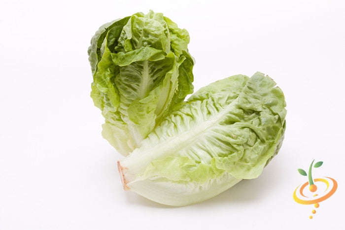 Little Gem lettuce seeds from SeedsNow, showing fresh seed packets and a small lettuce head sample.
