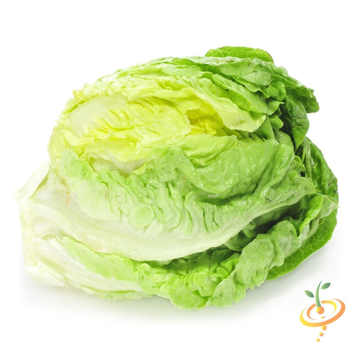 Crisphead lettuce seeds from SeedsNow, shown in a clear image with fresh green lettuce leaves and seed packets.
