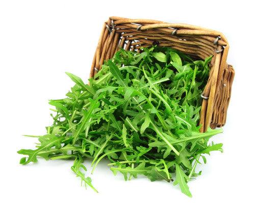 Arugula seeds from SeedsNow, small green seed packets, ideal for growing fresh arugula in home gardens.